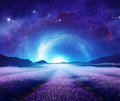1280x1080 Lavender Field At Starry Night 1280x1080 Resolution Wallpaper