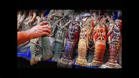 Thai Street Food Giant Rainbow Lobster Hua Hin Seafood Thailand Youtube