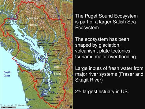 Ppt An Environmental Overview Of The Puget Sound Ecosystem Powerpoint
