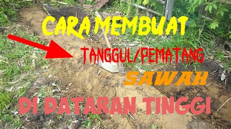 Cara Membuat Tanggul Pematang Sawah Youtube