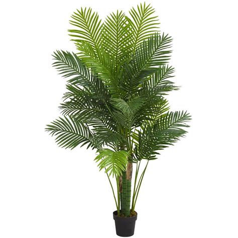 Nearly Natural Indoor 6 Ft Hawaii Palm Artificial Tree 5592 The Home