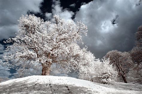 Infrared Photography Tips On How To Get Started
