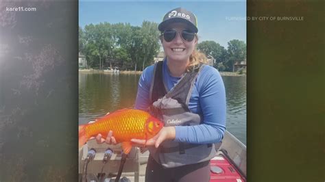 Photos Massive Goldfish Found In Burnsville Lake