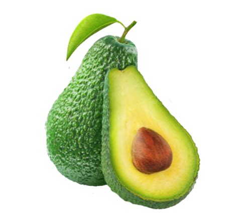 Avocado Png Images Transparent Background Png Play