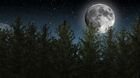 Lua Céu Noturno Estrelas · Foto Gratuita No Pixabay
