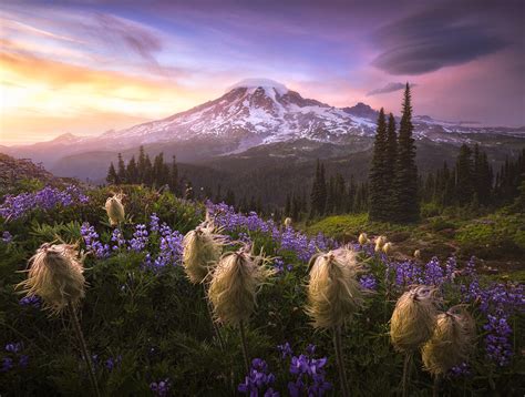 Mount Rainier Np Washington Usa By Joshua Snow