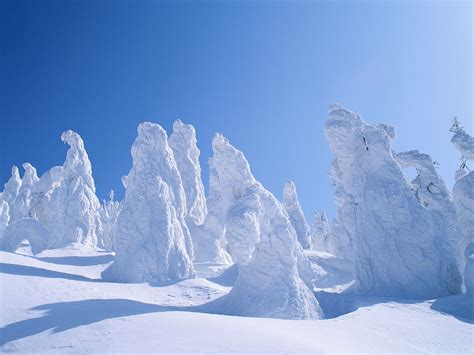 Check spelling or type a new query. 48+ Snow Backgrounds and Wallpaper on WallpaperSafari