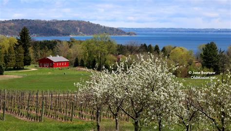 Owners tim and jane boursaw are devoted to the old mission peninsula community, and every contribution, big or small, is valuable. Newly-Elected Officers Outline Vision for Old Mission ...