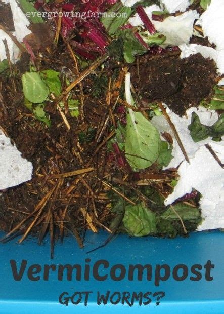 Vermicompost How To Build Your Own Super Affordable Worm Bin And