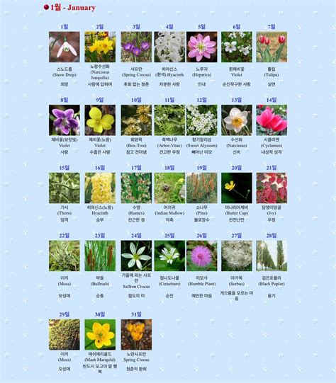 Korean Birth Flower Month Wretched Logbook Image Library