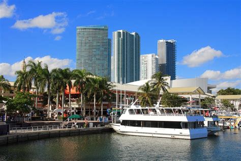 Viva Miami Tours Miami Beach Alles Wat U Moet Weten Voordat Je Gaat Met Fotos Tripadvisor