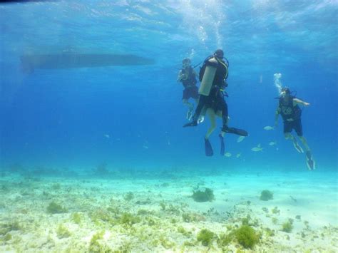 Scuba Diving Cancun Mexico Address And Map