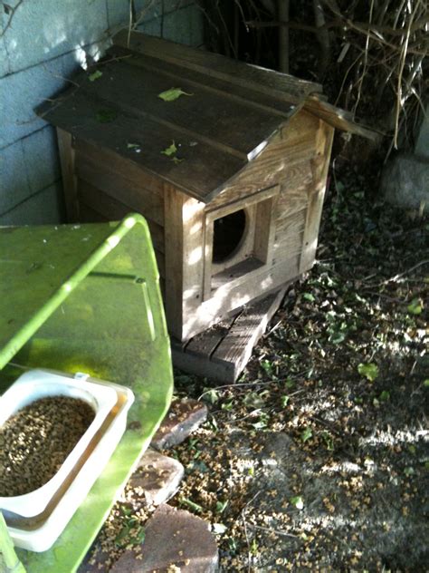 Diy Outdoor Cat Shelters And Feeding Stations Medium Outdoor Cat