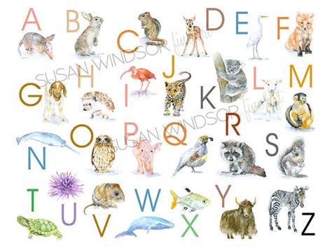 Animal Alphabet Large Poster Animal Alphabet Watercolor Nursery