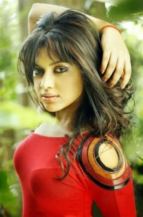 Tamil Actors Unseen Photoshoot Stills Actress Amala Paul Unseen 55944