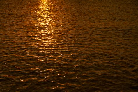 Sun Reflection On Water Free Stock Photo Public Domain Pictures