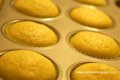 Betty crocker steamer recipes cake mix dairy betty crocker steamer recipes cake mix make dairy free banana cake per many request here's the banana muffin recipe using veg oil. A Gluten Free Guide » Blog Archive » Betty Crocker's Gluten-Free Mixes - almost as good as the ...