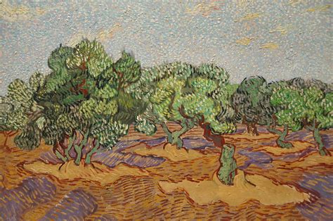 Vincent Van Gogh Olive Trees 1889 At New York Metropoli Flickr
