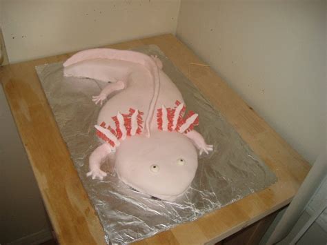 Axolotl Cake Yelp
