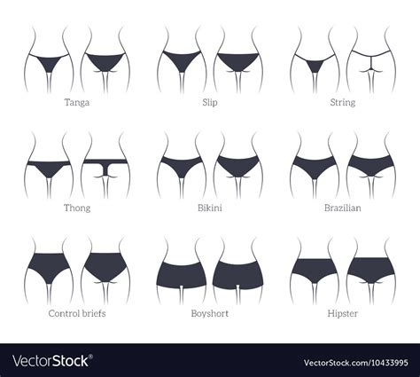 Female Panties Types Icons String And Thong Vector Image
