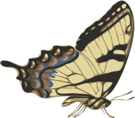 Free 209 Svg Butterfly Side View Flying Svg Png Eps Dxf File Best
