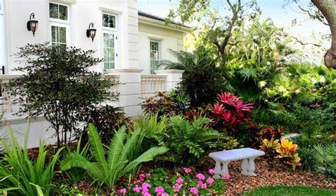 10 Easy Steps To Make Your Dream Tropical Garden A Reality Home