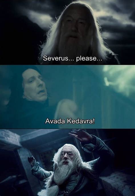 Alan Rickman Albus Dumbledore And Harry Potter Image On Favim Com