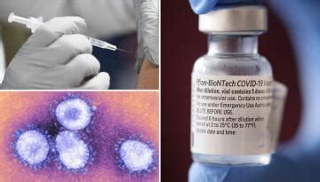 Coronavirus US Army Set To Unveil SpFN Vaccine That Works Against Any