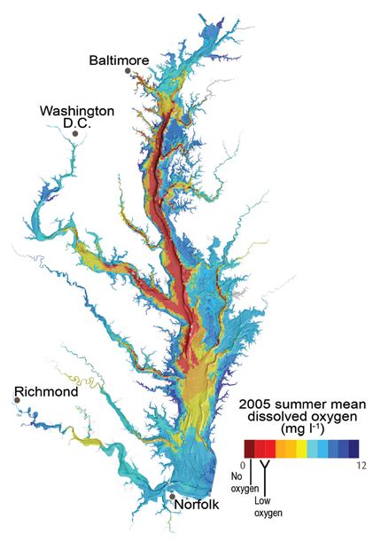 Dead Zones In The Chesapeake Bay Global Climate Change Impacts In The