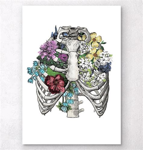 Contributing to their role in protecting the internal thoracic organs. Rib cage with flowers | Flower drawing, Anatomy art, Rib ...