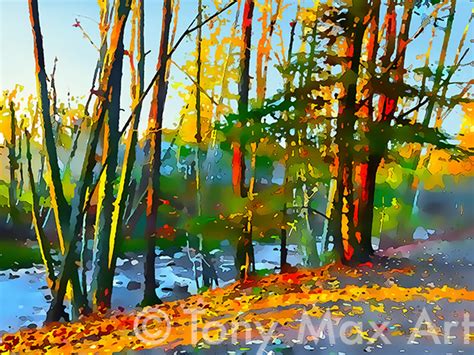 Creekside Trees British Columbia Visual Art Prints By Artist Tony Max