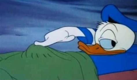 Donald Boner In Bed Donald Duck Boner Know Your Meme