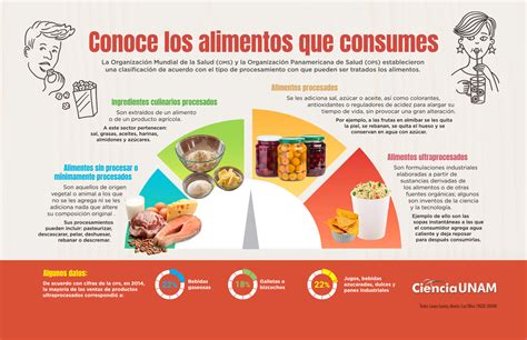 Infograf A Tipos De Alimentos Ciencia Unam The Best Porn Website