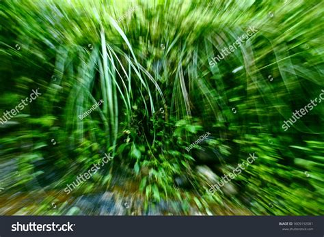 Green Abstract Natural Blurred Zoom Background Ad Ad Natural