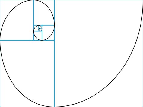 Golden Ratio Png Golden Ratio Transparent Images Free Transparent