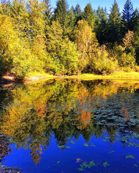 Hints Of Autumn Under Deep Blue Skies At Grass Lake Oly Flickr