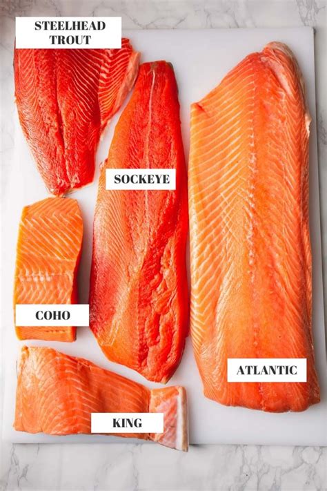 Salmon Varieties A Complete Guide To Salmon ~sweet And Savory