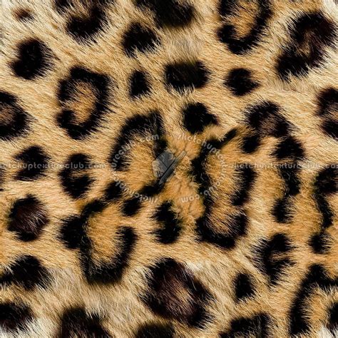 fur animal textures seamless