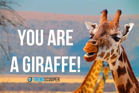 The Answer To Facebook Giraffe Riddle And Its Origin Giraffe Riddles