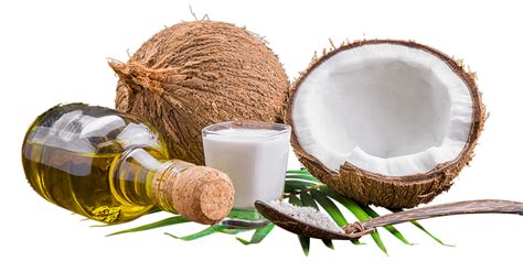 Living a healthy life with coconut products! | Lotus Pharmacy