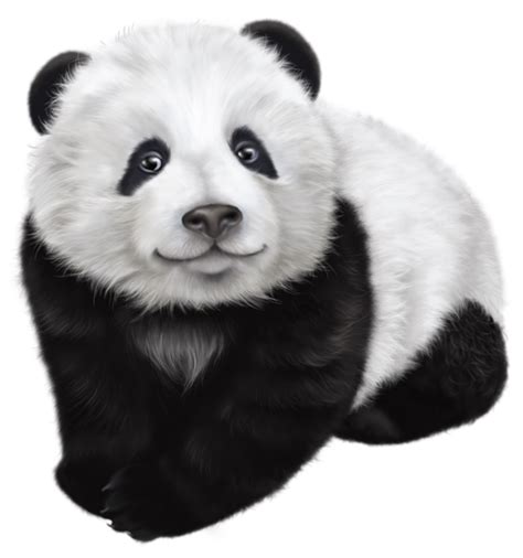 Panda Transparent Clip Art Image