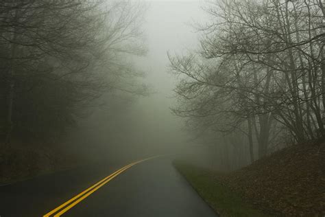 Foggy Mountain Road Photograph By David Paul Murray