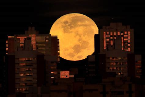 Super Flower Blood Moon Stunning Photos Of Mays Full Moon Lunar Eclipse Boston News
