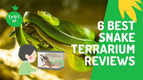 6 Best Snake Terrarium Reviews Indoor Garden Gardening Ideas