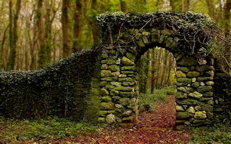 Forest Entrance Imgur Garden Gates Garden Arch Scenic Photography