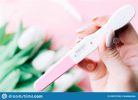 Pregnancy Test Couple Positive Woman Pregnant Test In Hands With Pink