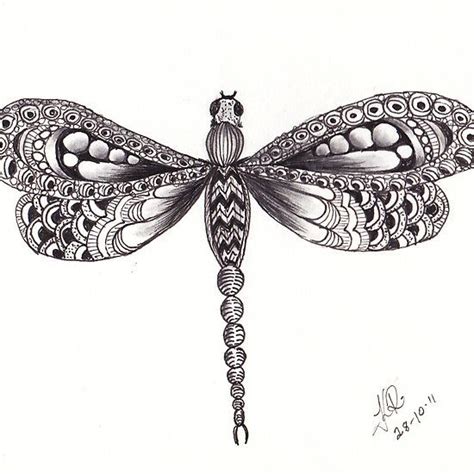 Download 35 best Dragonfly images on Pinterest | Dragon flies ...