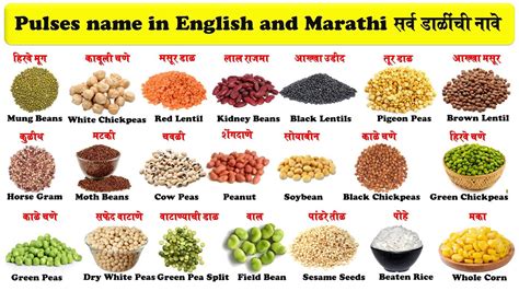 Pulses Name In English And Marathi With Pictures सर्व डाळींची नावे
