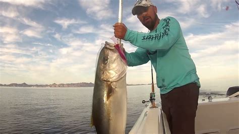 Buena Pesca Con Poppers Jureles En San Carlos Sonora Youtube