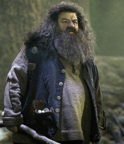 Rúbeo Hagrid Harry Potter Wiki